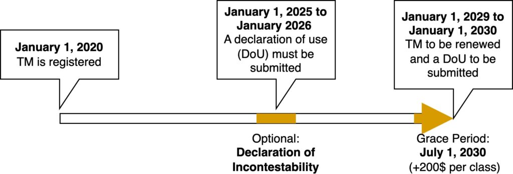 When to renew a trademark in the US