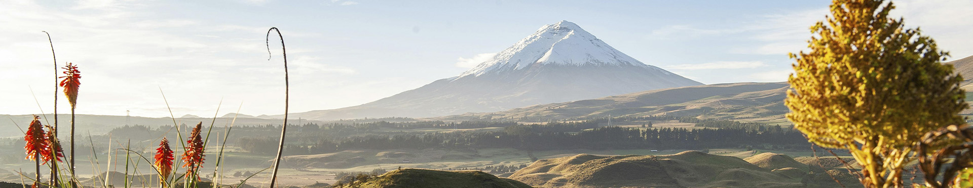 Ecuador