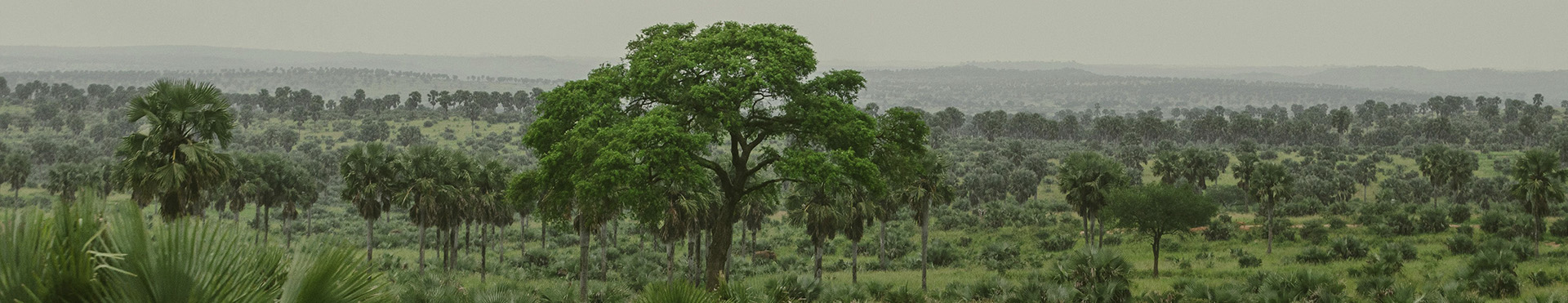 Uganda